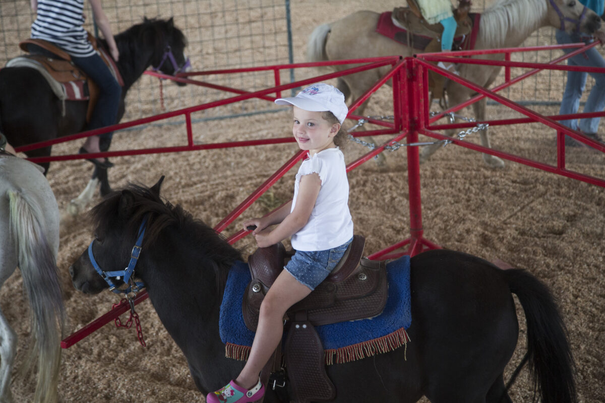 Davis fair opens with bunnies, princesses | News, Sports, Jobs ...